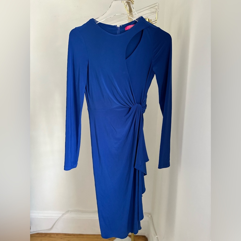 Stunning Dress! Cocktail dress, super versatile, elegant, stretchy.